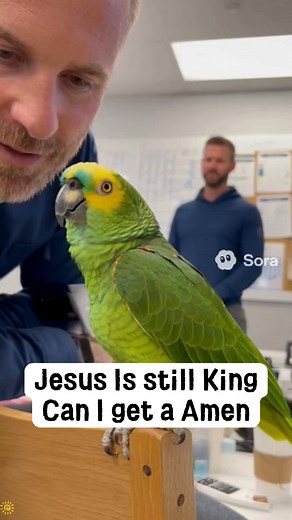 11K views · 885 reactions | Strong Prayer with God on Reels | Facebook