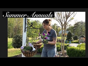 Container Plants for Full Sun and Heat: Hanging Basket Containers: First Summer Container Planting