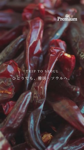 &Premium on Instagram: "発売中の特集は、「ひとりでも、韓国・ソウルへ」。活気溢れる市場を巡るのも、ソウルでの楽しみのひとつ。ひとり旅でも困らないごはんスポットガイドや、城北洞（ソンブクドン）や漢南洞（ハンナムドン）など散歩したくなるエリアのMAPも掲載。年末年始や春の旅の計画にぜひ。 #andpremium #ひとりでも韓国ソウルへ #seoulguide videographer : @shinnosukeyoshimori"