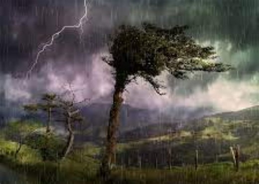 WATCH: Weather reports rain and wind expected in SA [VIDEO]