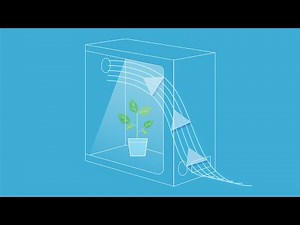 Introduction to TEMPERATURE AND HUMIDITY - Grow Guide by AC Infinity