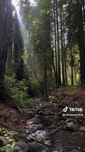 Exploring Redwood Trail at Bothe Napa Valley