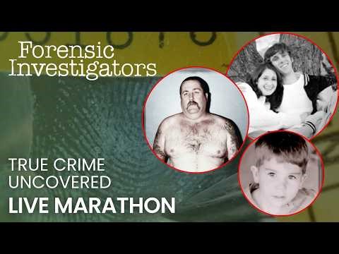 Back to back case files 🕵️ | Forensic Investigators | Live Marathon