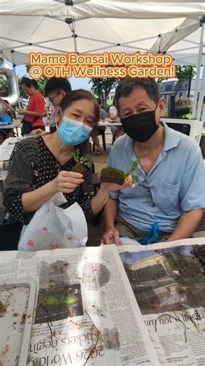 🌱✨ Tiny trees, big joy! Check out what went down at our Mame Bonsai Workshop this morning at the OTH Wellness Garden! It was beautifully spent exploring the delicate art of miniature trees. Participants learned how to care for, prune, and style their very own bonsai. Watch along for a therapeutic hands-on session. 🌳💚🌸 Always Something for Everyone! #OurTampinesHub #TakeMe2OTH #WellnessAtOTH #BonsaiArt | Our Tampines Hub