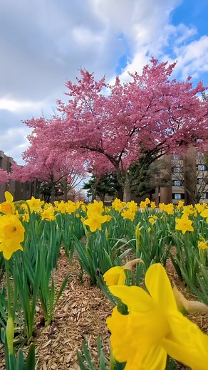 Spring is in the air 🌸🤧
