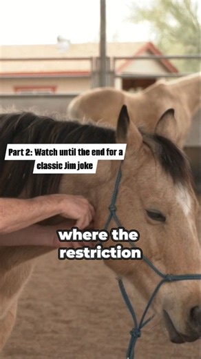 13K views · 302 reactions | Hyoid Release Follow-Up! Jim demonstrates...