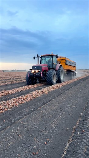 Case Mx 285 Real sound