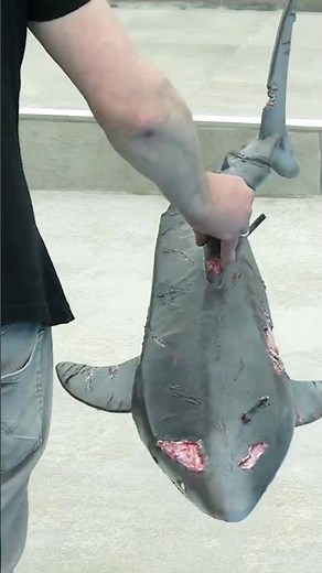 You've Never Seen an RC Shark Like This Before!