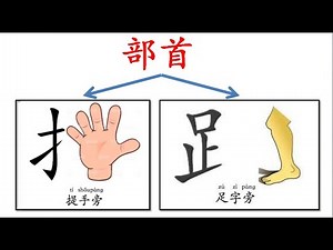 部首 提手旁 足字旁