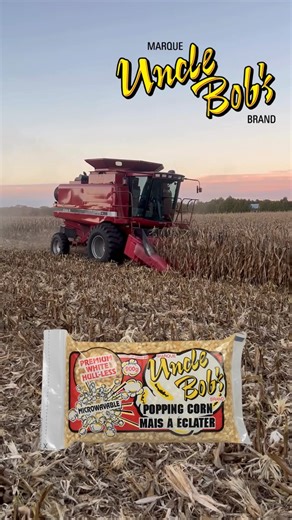 3.1K views · 85 reactions |  Harvest time! This is our combine in action, gathering our famous White Hull-less Popcorn — the kind that pops big, tastes amazing, and doesn’t get stuck in your teeth!  #UncleBobsPopcorn #HarvestSeason #OntarioGrown #WhiteHulless #FarmToBowl | Uncle Bob's Popping Corn | Facebook