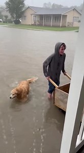 “Leave the dogs. Save the kid.” Someone shouted it through the rain. The street had turned into a river. Water rushing. Trash floating. Sirens echoing but going nowhere. In the middle of it all, a skinny white boy, about twelve, pushed a wooden cart straight into the flood. Soaked hoodie. Loose sneakers. Hands shaking — not from fear, but from effort. Inside the cart were three stray dogs. Young. Ribs showing. Bodies trembling so hard the cart rattled. A larger dog swam beside them, barely keepi