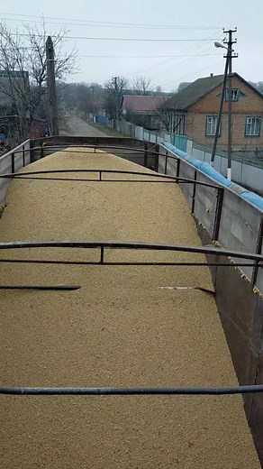 Rural Farming Operations with a Green Tractor