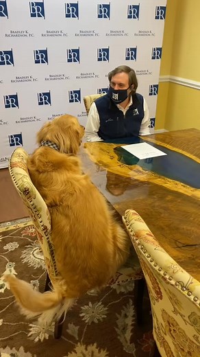 Meeting my best friend in the making! 🐶🤝💼 #DogLove #NewFriendship | Daniel Kingston