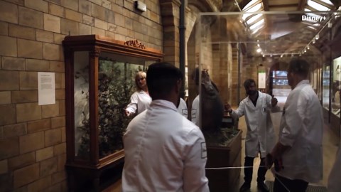 Natural History Museum brings 'Alien' Xenomorph egg to London