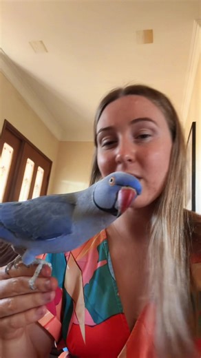 Understanding Chlamydia Psittaci in Birds