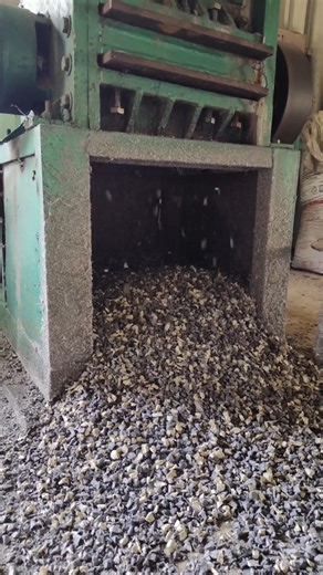 PP Plastic Waste Scrap Grinding Recycling Process | Factory Machine Work | #shorts #pp #grinder