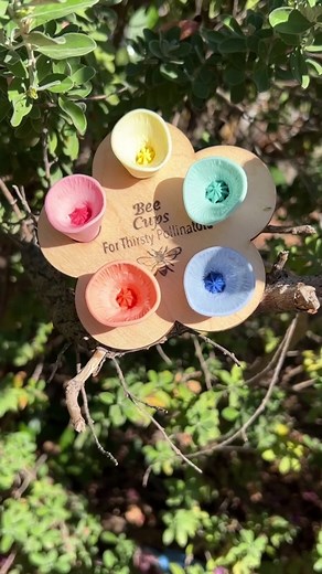 Bee Cups: Providing Safe Water for Bees with Bee Vision