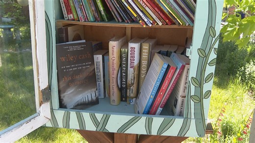 'It’s unethical': Little Free Libraries cleared out in multiple metro Denver communities