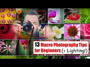 Guide to Macro Photography Tips and Tricks for Beginners + Macro Photography Lighting Tutorial