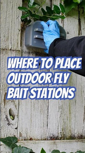 Control Outdoor Flies with Bait Stations | DoMyOwn.com