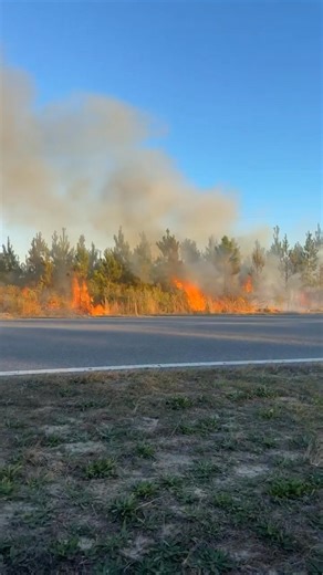 Update. 6:15pm. It’s about an acre and per Florida Fire Services personnel are establishing a security line at the moment. *** 12/31/25. 4:15pm. Fire at Star near Nehi. Avoid area. Will update as more info available. #JOTG Panhandle Weather. @Bay County Emergency Services. | Josie On-The-Go
