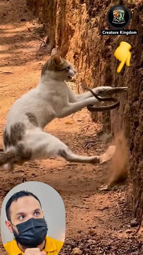 UNBELIEVABLE SPEED! ⚠️ DID YOU SEE THAT REACTION?! #SHORTS