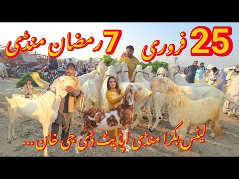 Morning Time Monday 25 February 2026 Mandi Dera Ghazi Khan رون گئی مارکیٹ