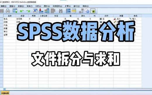 SPSS数据分析：文件拆分与求和