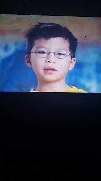 Oobi Dog Cat Friends 🐾