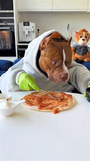 Funny Bulldog Can't Stop Eating 😂🐶 #Shorts #bulldog