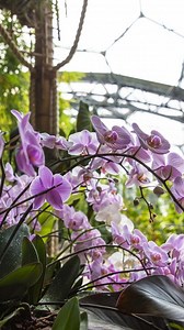 Immerse yourself in a weekend of talks, events and happenings curated to support mental and planetary wellbeing 🌍💞 edenproject.com/reclaim | Eden Project