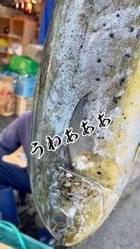 漁師の祖父と名前の分からない魚を『GRAVITY』で聞いてみました‼️ #PR #グラビティ #優しいSNS https://gravityapp.onelink.me/YBnJ/ydn5yfvr