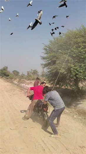 Real Hunting Life in the Wild 🦌 #gianteagle #birdhunting #birds #hunting #realwoods