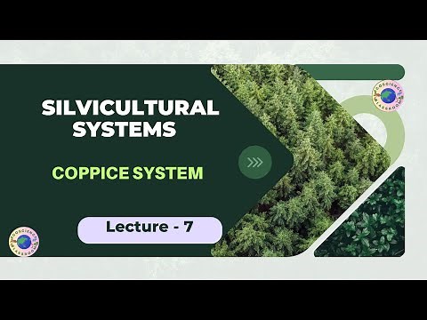Silvicultural System, Coppice System , Forestry