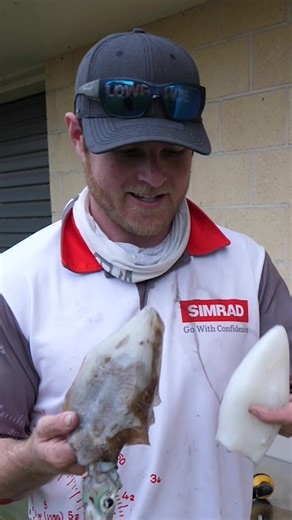 How to Prepare Freshly Caught Squid: Catch and Cook Guide