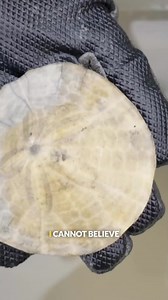 42K views · 257 reactions | How much do you know about tide pool creatures? #ocean #tidepooling #seacreatures #bravewilderness | Brave Wilderness | Facebook