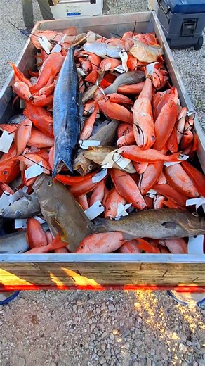 1.2K views · 72 reactions | We Loaded Up JACK!!!! Motorcity Hook Setter | Marcus English | Facebook