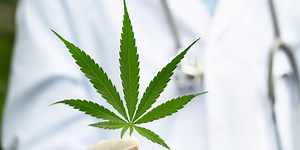 Cannabis-Arzt: Spezialist für Cannabinoide