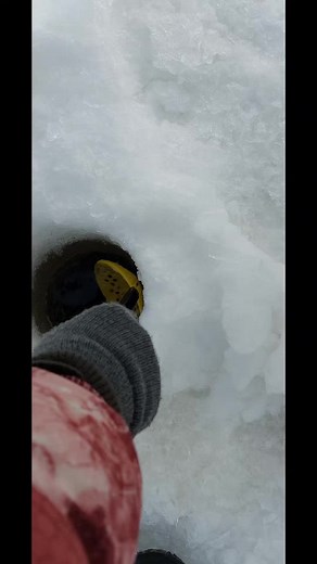 Angling, and we got perch🐟 #icefishing #angling #patience #perch