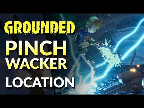 Pinch Wacker Location | Grounded (2022)