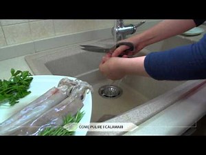 CLEANING SQUID - Good, Easy, Quick