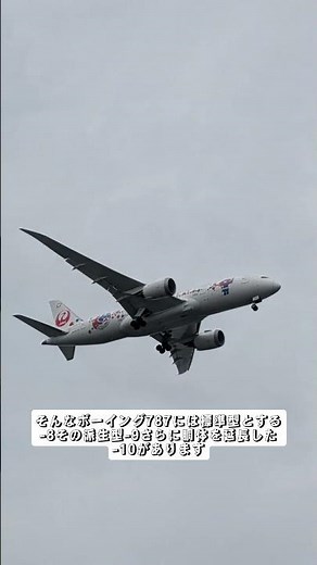 B787の魅力＆見分け方