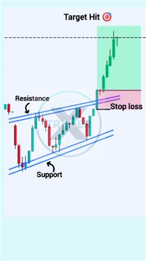 FOREX | CRYPTO 🇺🇸 | Free signal channel link in bio | Instagram