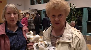 6.8K views | Attention Kansas City! Save $5 with code: 4Magic Take...