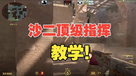 为什么高手都不愿意打沙二？再强的高手来沙二也会被踢一脚！