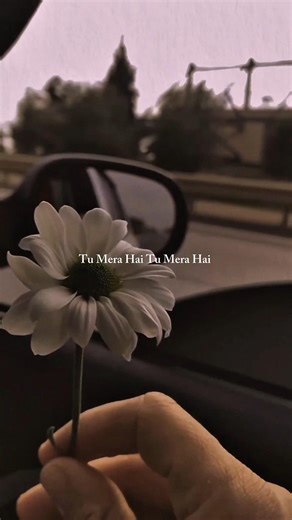 Tere Dil Pe Hak Mera Hai ll❤️🥺 ll Tu Mera Hai Tu Mera Hai ll Lyrics Song ll #sad #sadsong #lyrics