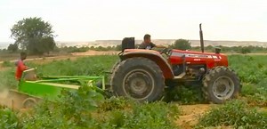 Angola desenvolve conceito de agroecologia em projeto com agricultores - RTP África
