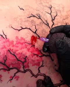 1.8M views · 31K reactions | The pink hues are beautiful 朗 | Comedy JOE | Facebook