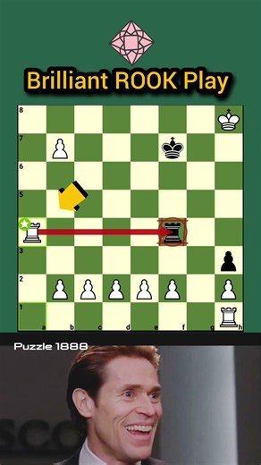 The secret behind this brilliant Rook play #chess #shorts #genius