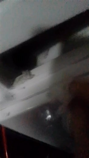 Ana Anci Djordjevic on Reels